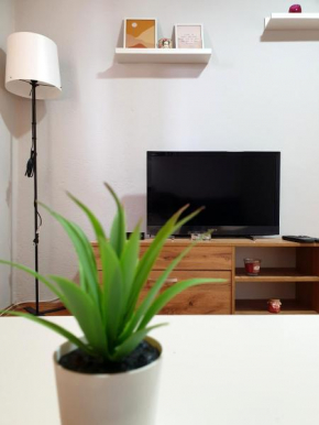 Fenix Apartman